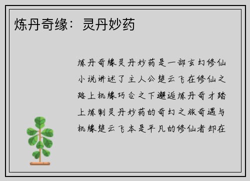 炼丹奇缘：灵丹妙药